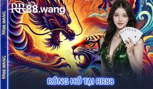 Rồng Hổ