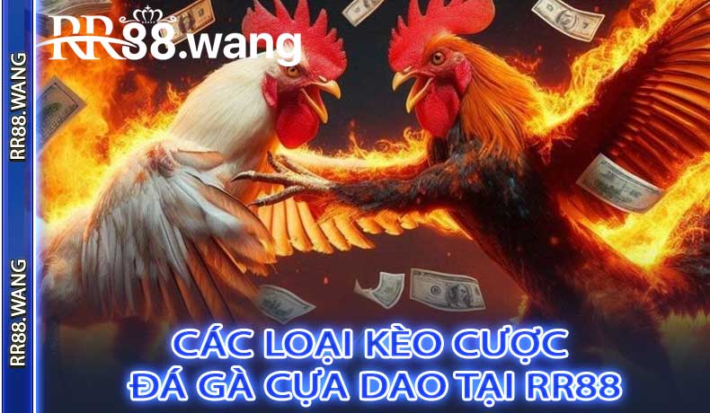 Các Loại Kèo Cược Đá Gà Cựa Dao Tại RR88